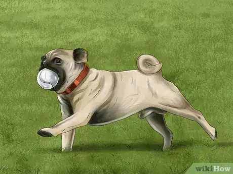 Image titled Be Good With Small Dogs Step 7