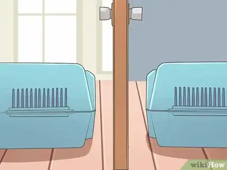 Image titled Introduce a New Puppy Step 9