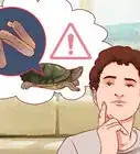 Catch Water Turtles