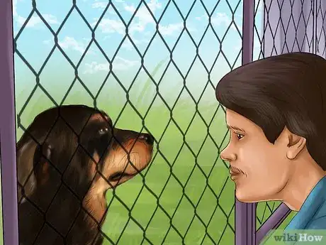 Image titled Adopt a Rottweiler Step 5