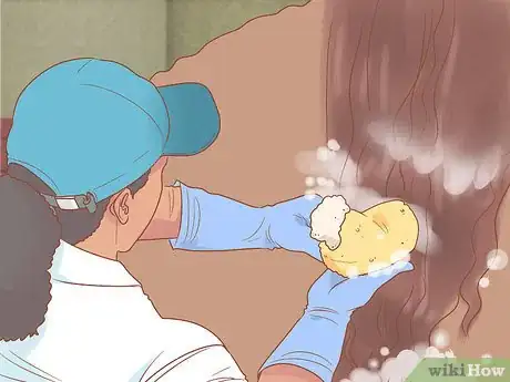 Image titled Groom a Horse for a Show Step 5