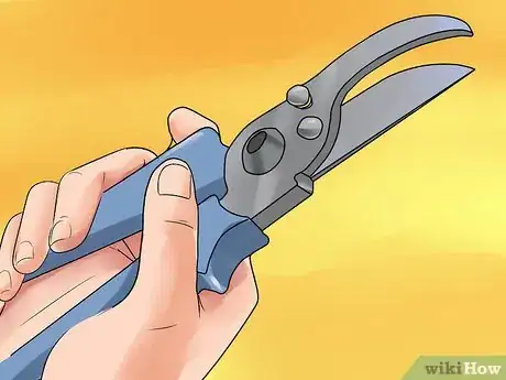 Image titled Care for a Weeping Cherry Tree Step 10