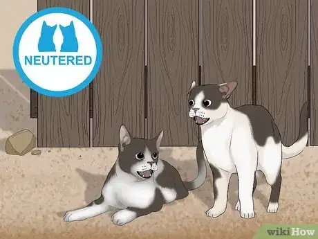 Image titled Avoid Losing Your Cat Step 6