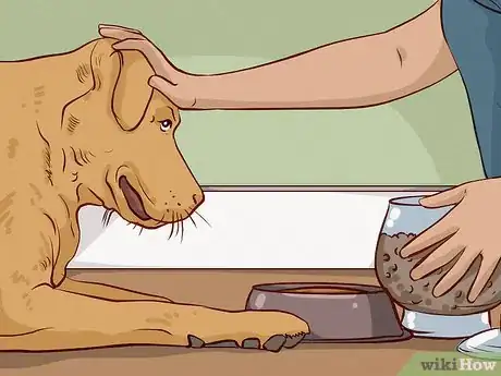 Image titled Make a Morning Routine During the Coronavirus Pandemic (for Homeschooled Girls) Step 12