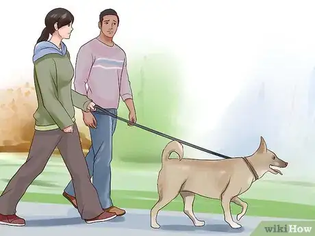 Image titled Get Used to Dogs Step 4