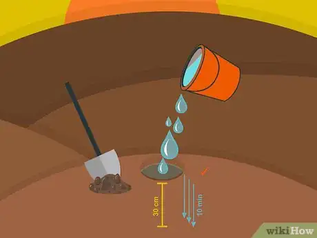 Image titled Plant Narcissus Bulbs Step 05