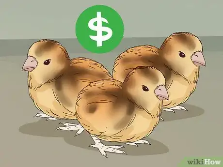 Image titled Raise Quail for Eggs Step 6