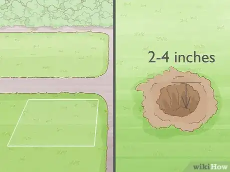 Image titled Grow Osage Oranges Step 11