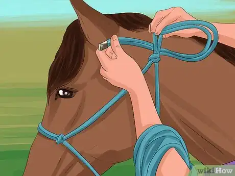 Image titled Put a Lead Rope on a Horse Step 4