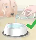 Improve the Quality of Your Pet's Drinking Water