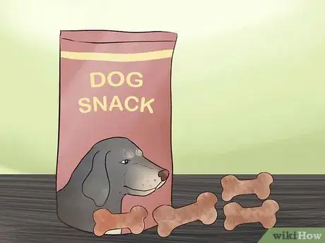 Image titled Feed a Yorkie Puppy Step 11