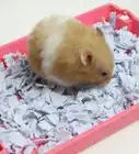 Make Hamster Bedding Similar to Carefresh