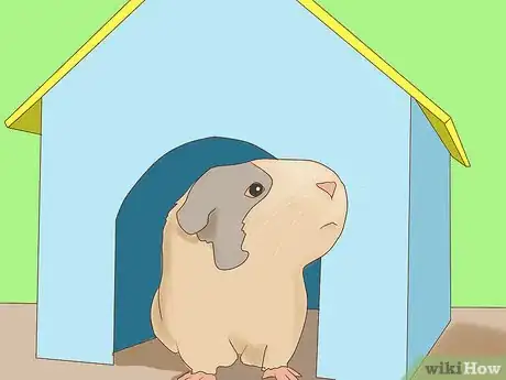 Image titled Take Photos of Your Guinea Pigs Step 7