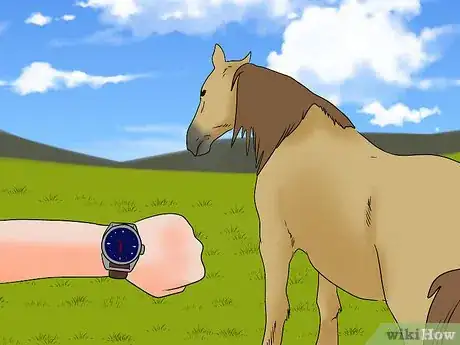 Image titled Load a Frightened Horse Into a Horse Trailer Step 17