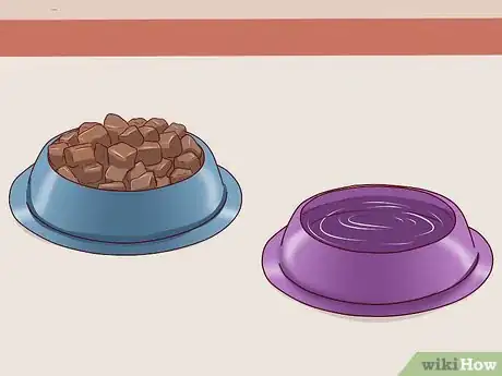 Image titled Get a Cat for a Pet Step 20