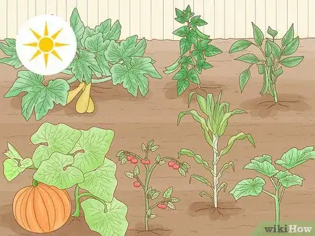 Image titled Grow a Summer Garden Step 2