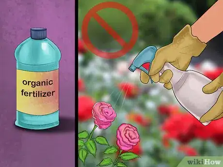 Image titled Eat Roses Step 1