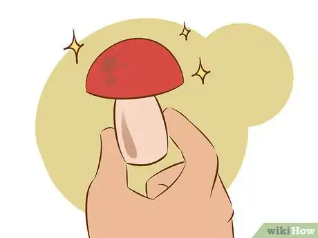 Image titled Grow Edible Mushrooms Step 18