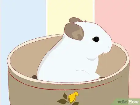 Image titled Entertain Your Chinchilla Step 5