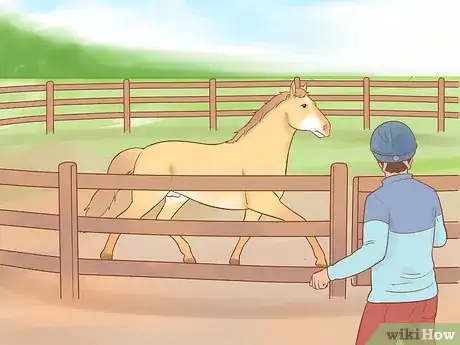 Image titled Pet a Wild Horse Step 8