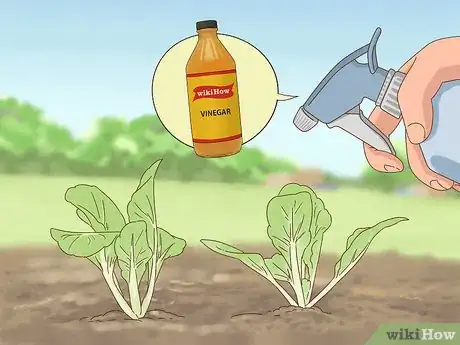 Image titled Keep Dogs Out of Gardens Step 4