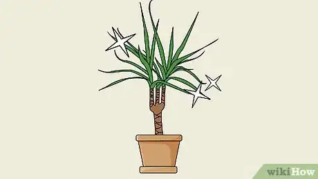 Image titled Grow Dracaena Marginata Step 8