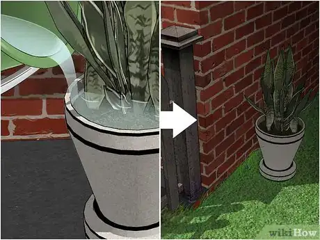 Image titled Remove Ants from Potted Plants Step 7