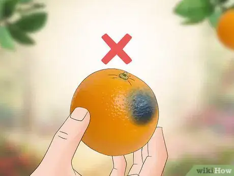 Image titled Harvest Oranges Step 11