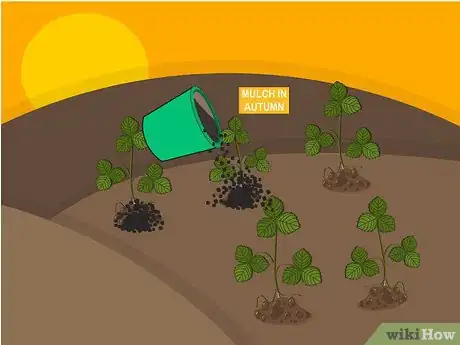 Image titled Grow Strawberries Step 17