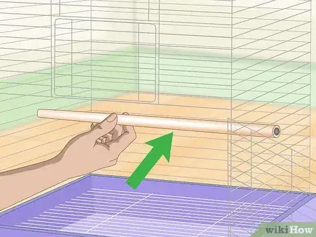 Image titled Keep a Senegal Parrot Entertained Step 2