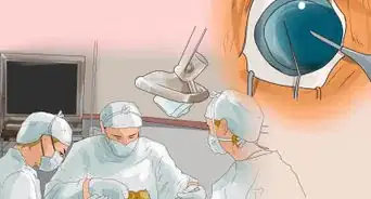 Diagnose Entropion in Boxers