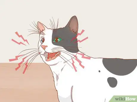 Image titled Figure Out if Your Cat Is Angry Step 2