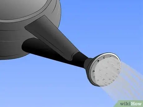 Image titled Grow Ornamental Flowering Kale Plants Step 11