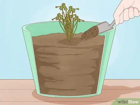 Image titled Plant a Woolworths Discovery Garden Step 16