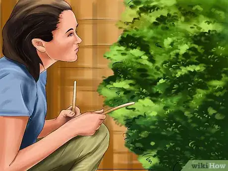 Image titled Choose Safe Houseplants when You Have a Cat Step 4