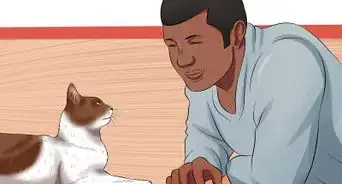 Plan and Prepare for Your New Cat