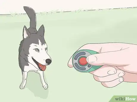 Image titled Keep Dogs Off of a Pool Cover Step 8