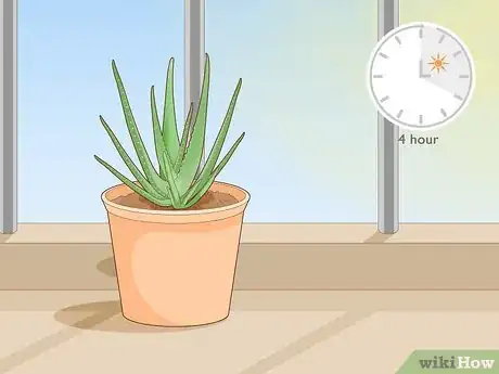 Image titled Keep an Aloe Vera Plant Fresh Step 2