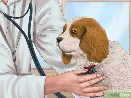 Image titled Keep a Mother Dog Healthy Postpartum Step 3