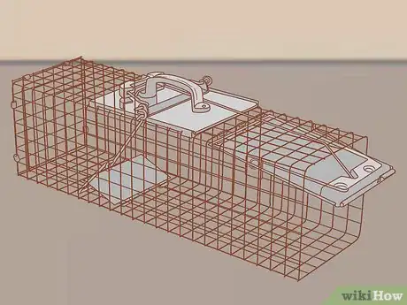 Image titled Get Rid of Squirrels in the Attic Step 6