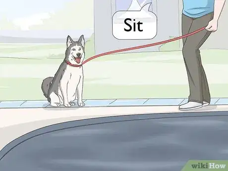 Image titled Keep Dogs Off of a Pool Cover Step 2