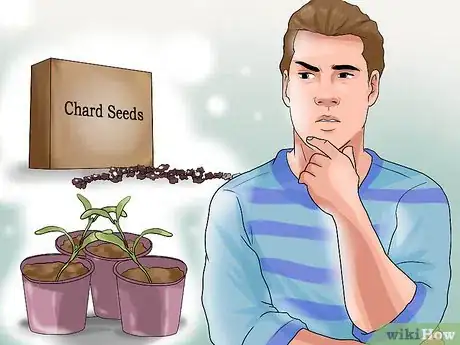 Image titled Grow Chard Step 2