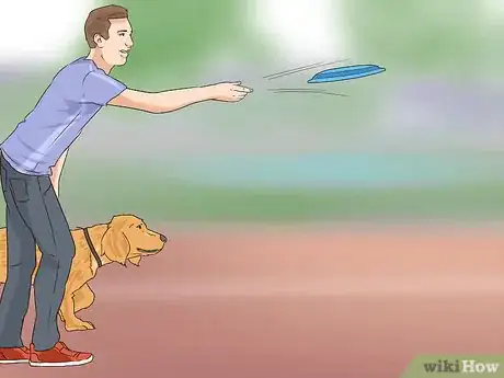 Image titled Have Fun with Your Dog Outdoors Step 6