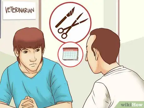 Image titled Get a C‐Section for Your Dog Step 1