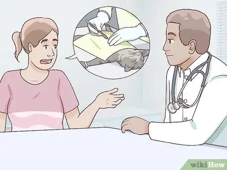 Image titled Diagnose and Treat Pyothorax in Cats Step 14