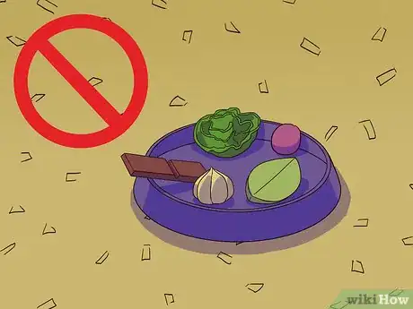 Image titled Feed a Gerbil Step 9