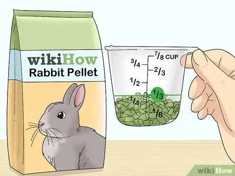 Image titled Care for a Polish Rabbit Step 7