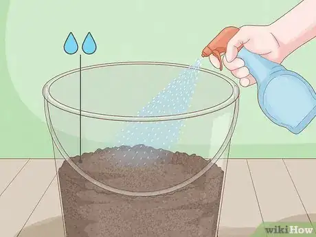 Image titled Grow Organic Mushrooms Step 14