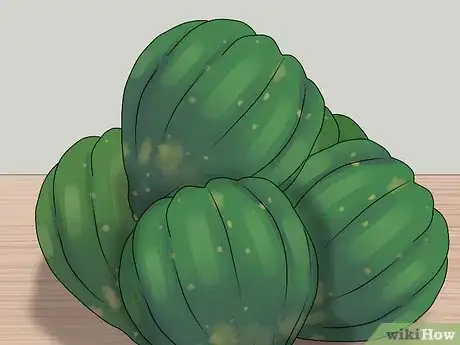 Image titled Buy Acorn Squash Step 5