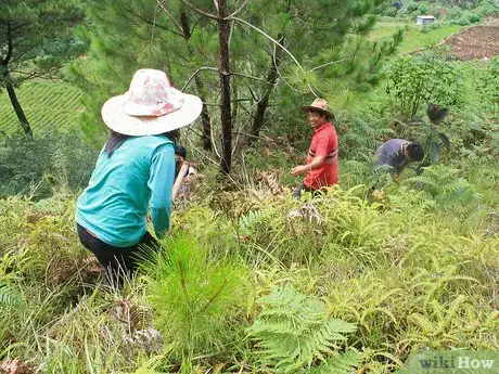 Image titled Celebrate the International Day for Biodiversity Step 6